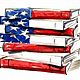 American books
