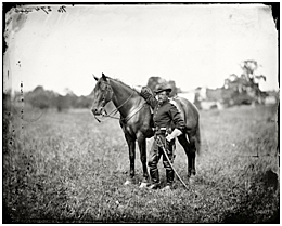 Sistema de los negativos