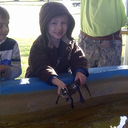 Held a baby alligator!
