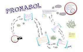 Creación y Crecimiento Acelerado del Programa Nacional de Solidaridad (PRONASOL)