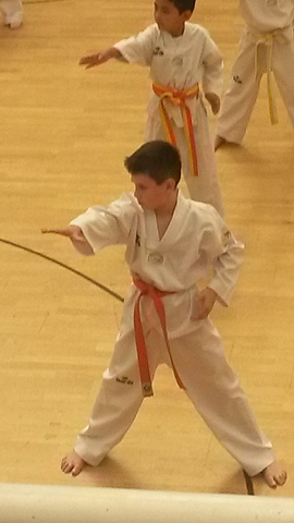 Taekwondoko erakusketa.