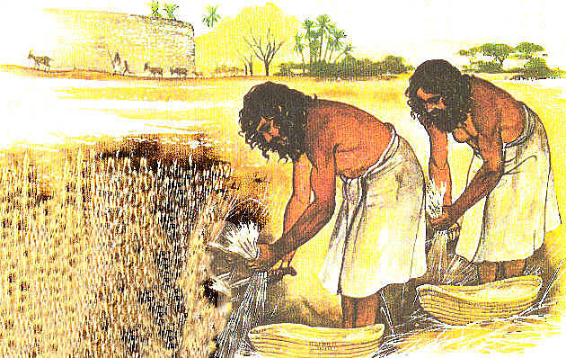 Neolítico- Agricultura e Aldeamentos