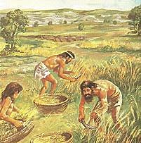 Neolitico-Agricultura