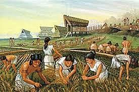 Neolítico- Agricultura