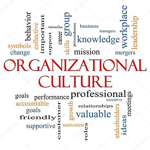 Concepto de Cultura Organizacional