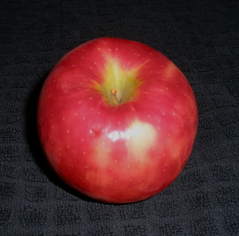 Katniss goes in for her private training session with the gamemakers and tries to get their attention by shooting the apple in the pig's mouth and gets a score of 11