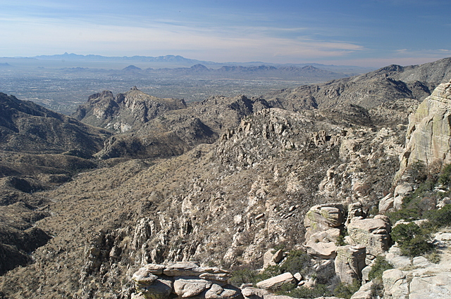 Nicki's Family Moves To Arizona