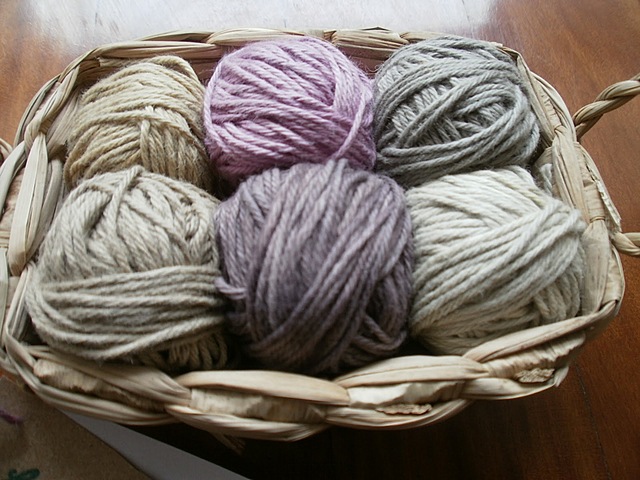 Prohibición introducción de los algodones hilados de fábrica extranjera