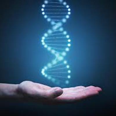 Timeline: Principales descubrimientos del ADN