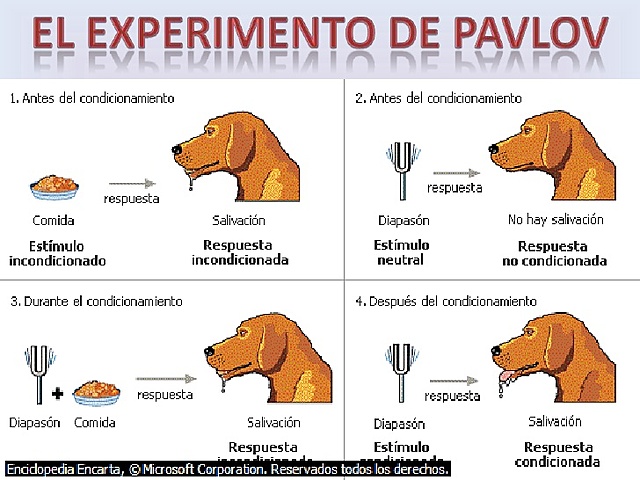 Continuación de la clase