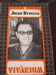 Anys 70. Reconeixement literari i visual