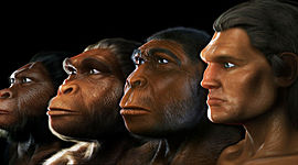 Timeline: HOMÍNIDOS (Natalia Pérez 4ºA)