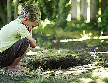 Mort d'un animal/proche