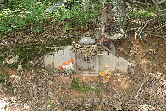 Lucinda know about the faeries and has some i the room that give her food that is better than the food of the asylum