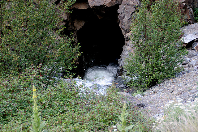 Katniss and Peeta stay in a cave for a couple of days because Peeta  is sick.The gamemakers say that there are packs at the corncopia that each person needs,Katniss wants to go, Peeta doesn't let her. But when he is sleeping she goes and gets the backpack