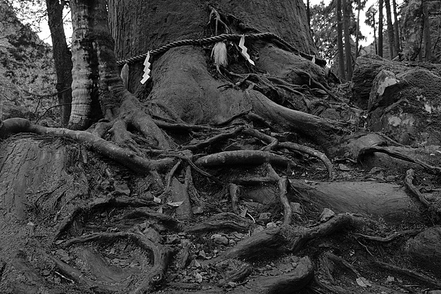 Jared was released form the elves