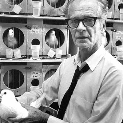 Timeline: Computer Assisted Language Learning History