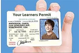 Learners Permit
