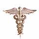 Pin simbolo de medicina plata d nq np 695057 mlm27126210420 042018 f