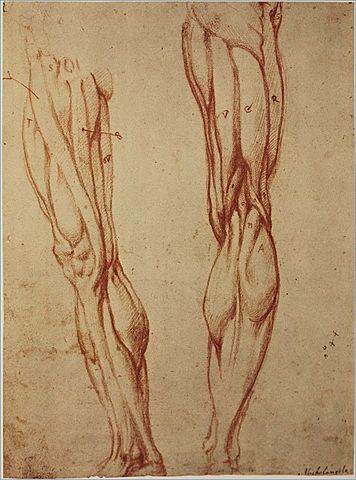 Scientific Discoveries: Human Anatomy