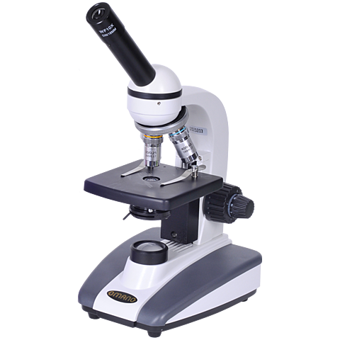 Microscpe
