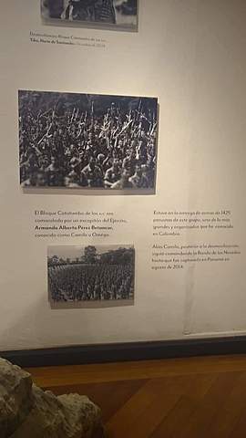 captura y desmovilizacion