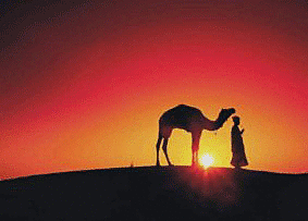 ¿ Cuando nació , donde?