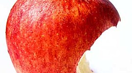 Timeline: Sistemas Mac Evolución 1984-2019