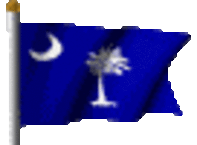 Charleston is Captured