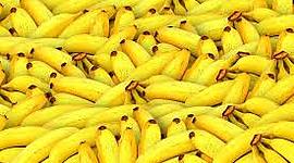 Timeline: Compañias Bananeras en Honduras