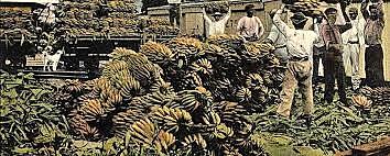 United Fruit Company