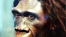 Timeline: De første menneskene