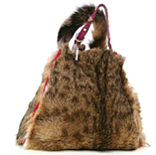 My dearest cat Pinkeltje