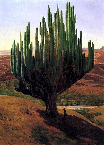 José María Velasco, maestro paisajista