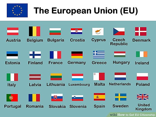 Submitted Application for an EU Membership