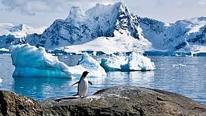 el Tratado de la Antártica