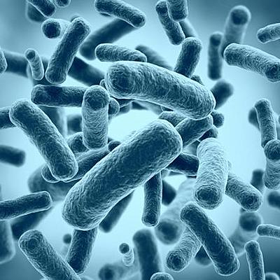 Timeline: Historia de la Microbiología