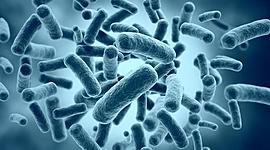 Timeline: Historia de la Microbiología