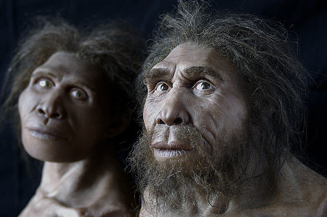 Homo Antecessor (760.000 years ago - It isn´t Knowed)