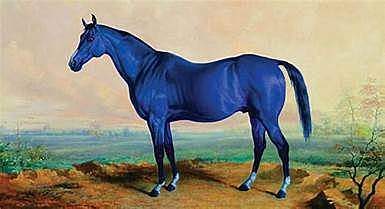 yellow duck saw a blue horse