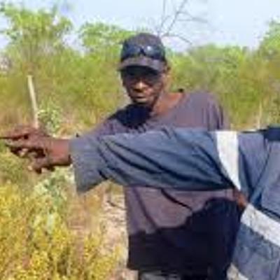 Timeline: Will Anderson's Australian Massacres Timeline