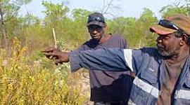 Timeline: Will Anderson's Australian Massacres Timeline