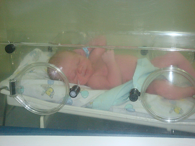 Marco Antonio Bassanezi Dalpasqual