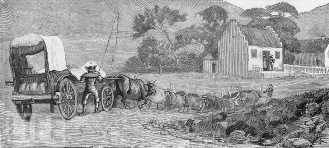 Khoisan Raids Cattle