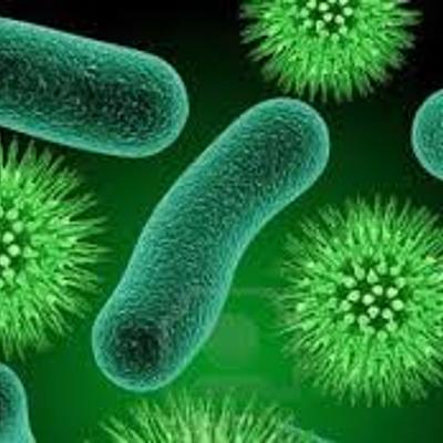 Timeline: Historia de la Microbiología (Taller N°1)