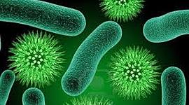 Timeline: Historia de la Microbiología (Taller N°1)