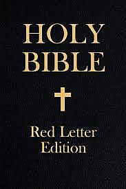 The Catholic Church (Pre-Reformation)