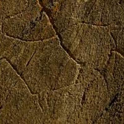 Timeline: Cronologia