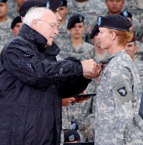 The Distinguished flying cross