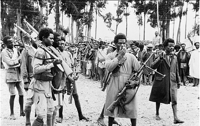 Aiuto di Hitler agli italiani